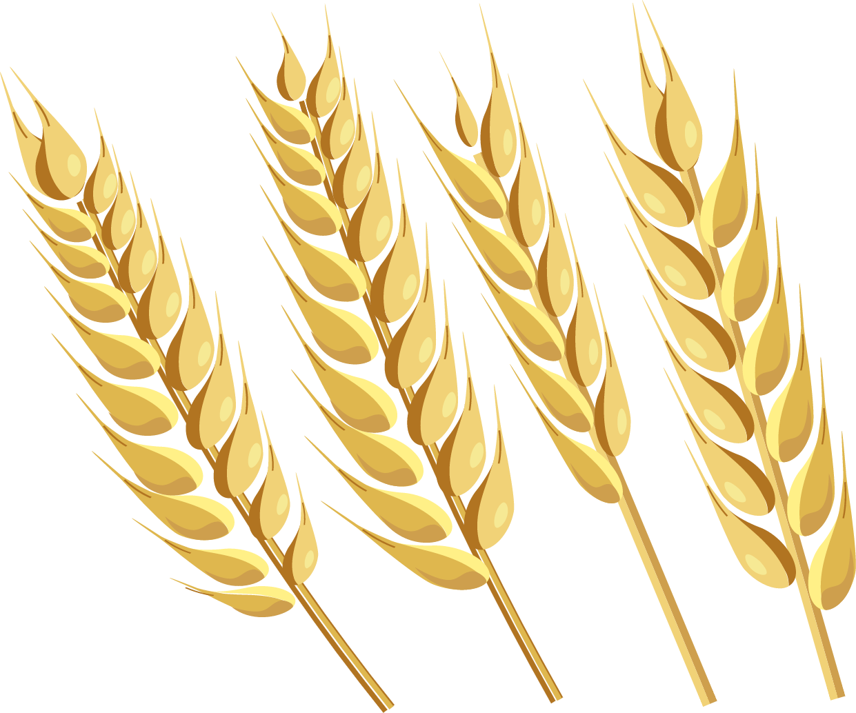 WHEAT-01@2x